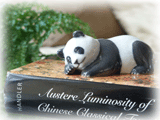 panda on the book